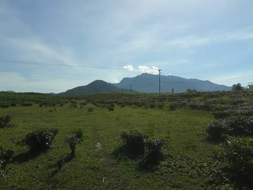 Top 20 cửa hàng thịt sạch Huyện Đông Giang Quảng Nam 2022