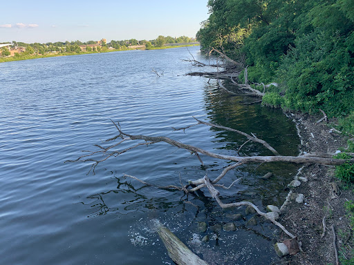 Park «McCullough Park», reviews and photos, W Illinois Ave, Aurora, IL 60506, USA