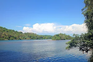 Thejaswini River image