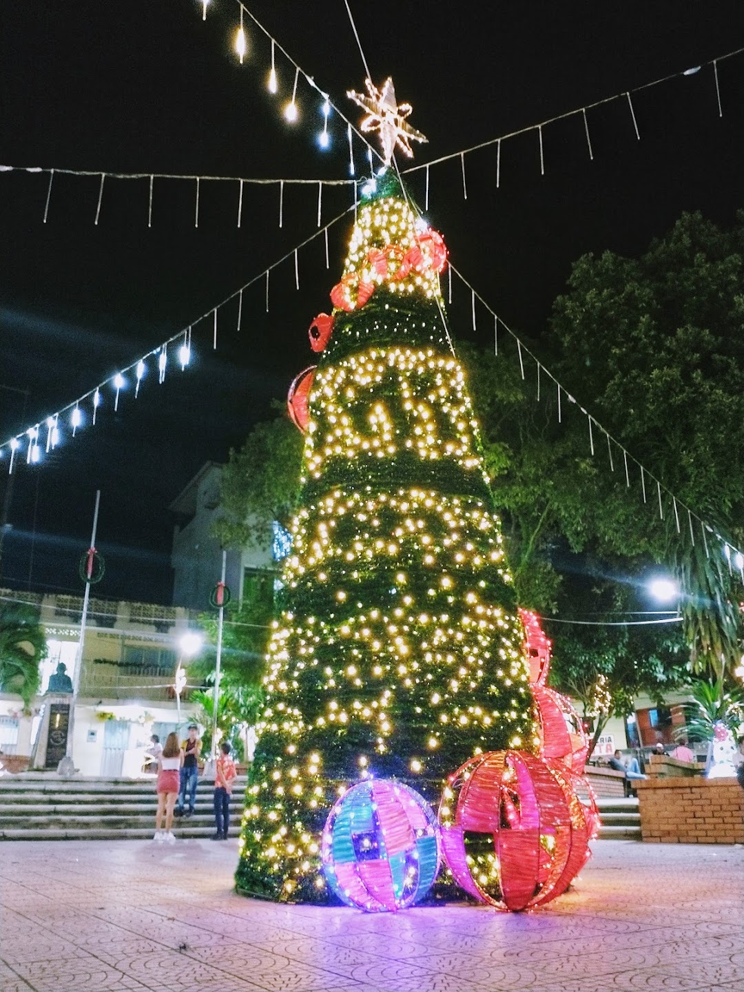Parque Principal Chepe Díaz