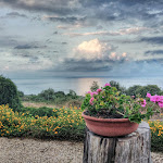 Photo n°8 de l'avis de Sebastiano.i fait le 18/12/2016 à 15:40 sur le  Eni Cafè à Acireale