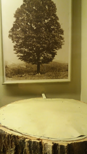 Museum «The Field Museum», reviews and photos, 1400 S Lake Shore Dr, Chicago, IL 60605, USA