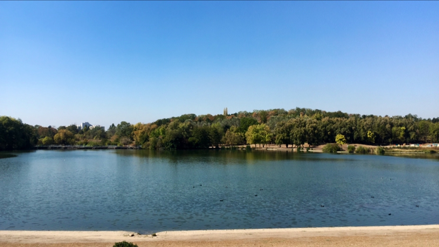 Photo n° 4 de l'avis de Anonyme. fait le 28/10/2020 à 19:58