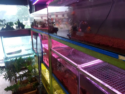 chinnus aquarium&Key Duplication Centre