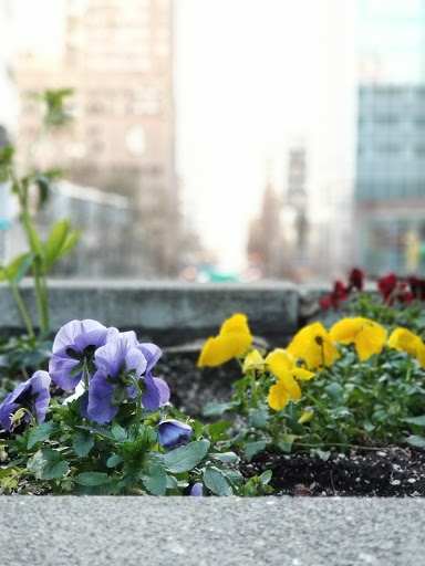 Park «Freeway Park - Jim Ellis Freeway Park», reviews and photos, 700 Seneca St, Seattle, WA 98101, USA