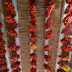 Photo n°1 de l'avis de Erika.e fait le 27/07/2020 à 15:50 sur le  Sante Le Muse à Salve