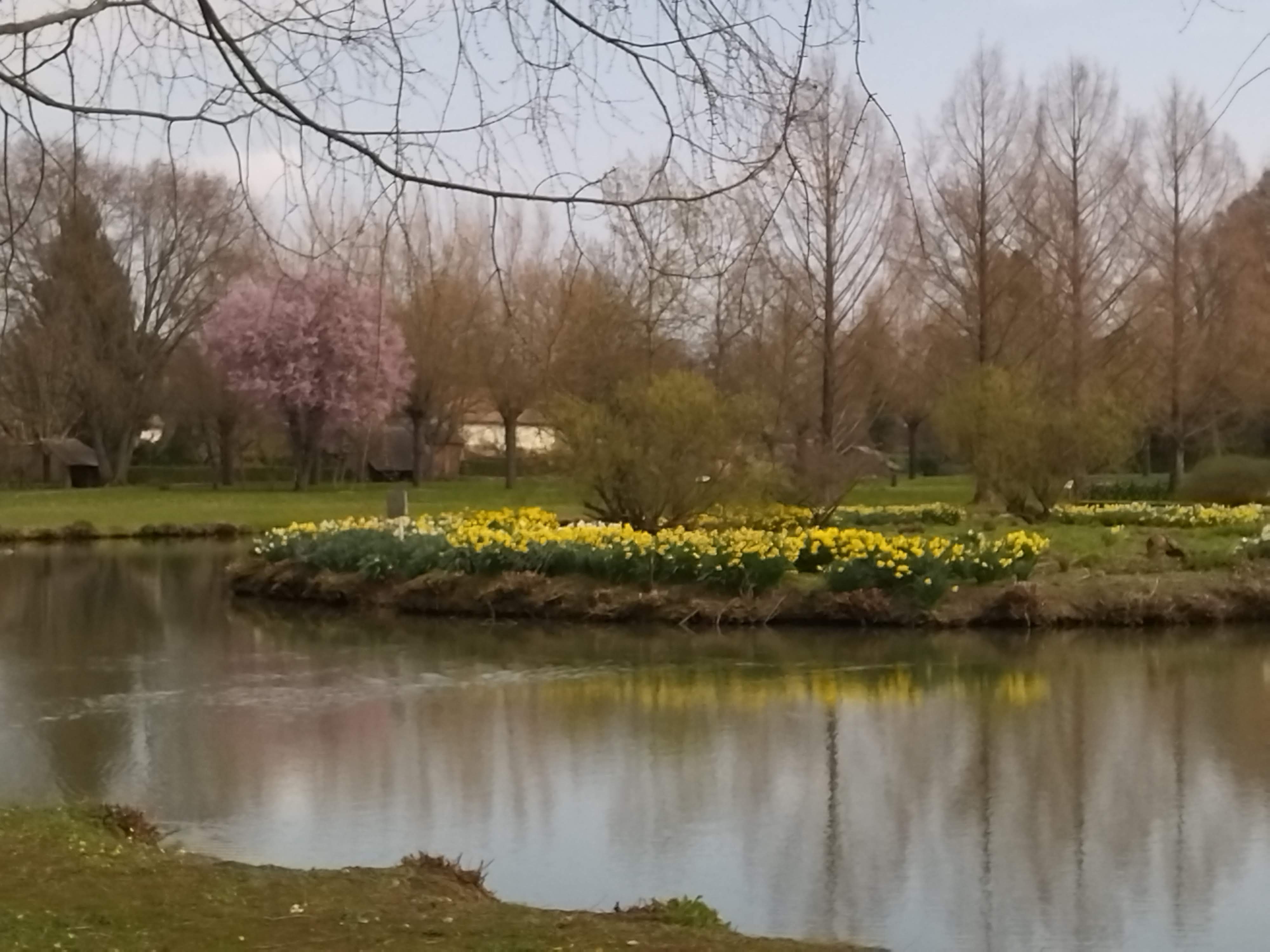 Photo n° 7 de l'avis de Marie.a fait le 20/03/2022 à 16:32