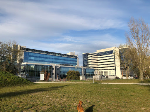 Faculty of management