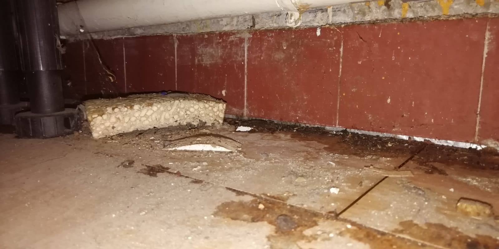 Photo n° 15 de l'avis de Nawelle.a fait le 31/03/2020 à 14:25