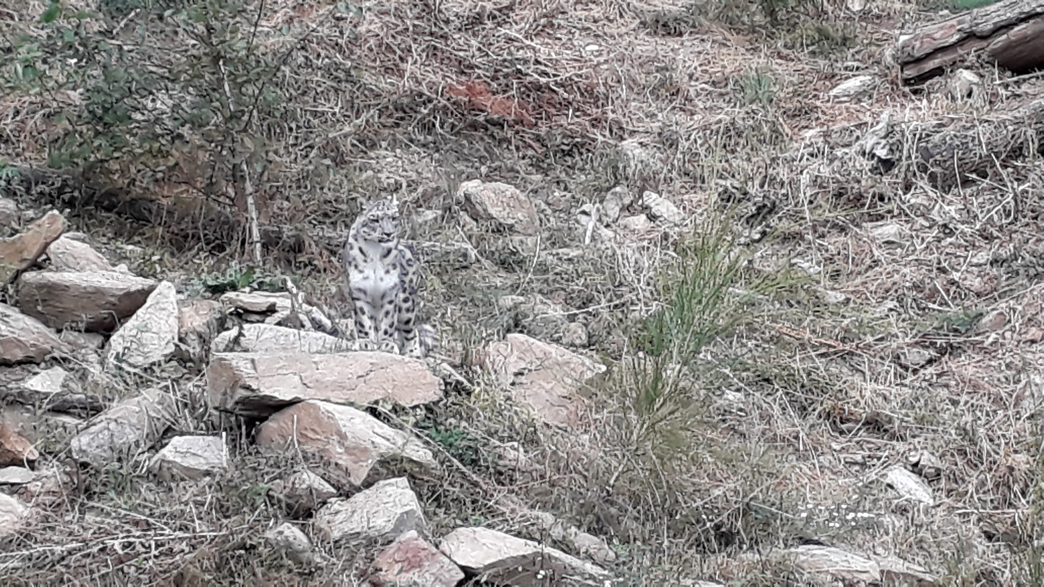 Photo n° 17 de l'avis de Stef.e fait le 15/08/2018 à 14:06