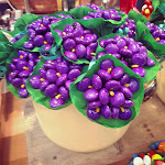 Photo n°2 de l'avis de Silvia.p fait le 23/06/2018 à 21:35 sur le  Fratelli Lunardi à Quarrata