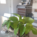 Photo n°5 de l'avis de Filippo.e fait le 25/02/2024 à 18:24 sur le  Il SassoScritto à Tromba