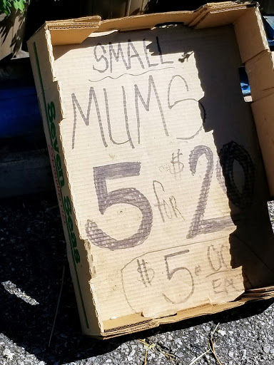 Thrift Store «Thrift Town Treasures», reviews and photos, 5130 Youngstown Warren Rd, Warren, OH 44484, USA