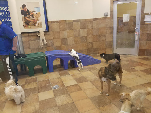 Pet Supply Store «PetSmart», reviews and photos, 6204 W Park Blvd, Plano, TX 75093, USA