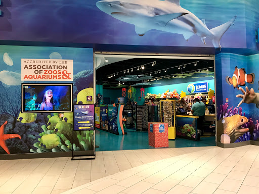 Aquarium «SEA LIFE Arizona», reviews and photos, 5000 S Arizona Mills Cir #145, Tempe, AZ 85282, USA