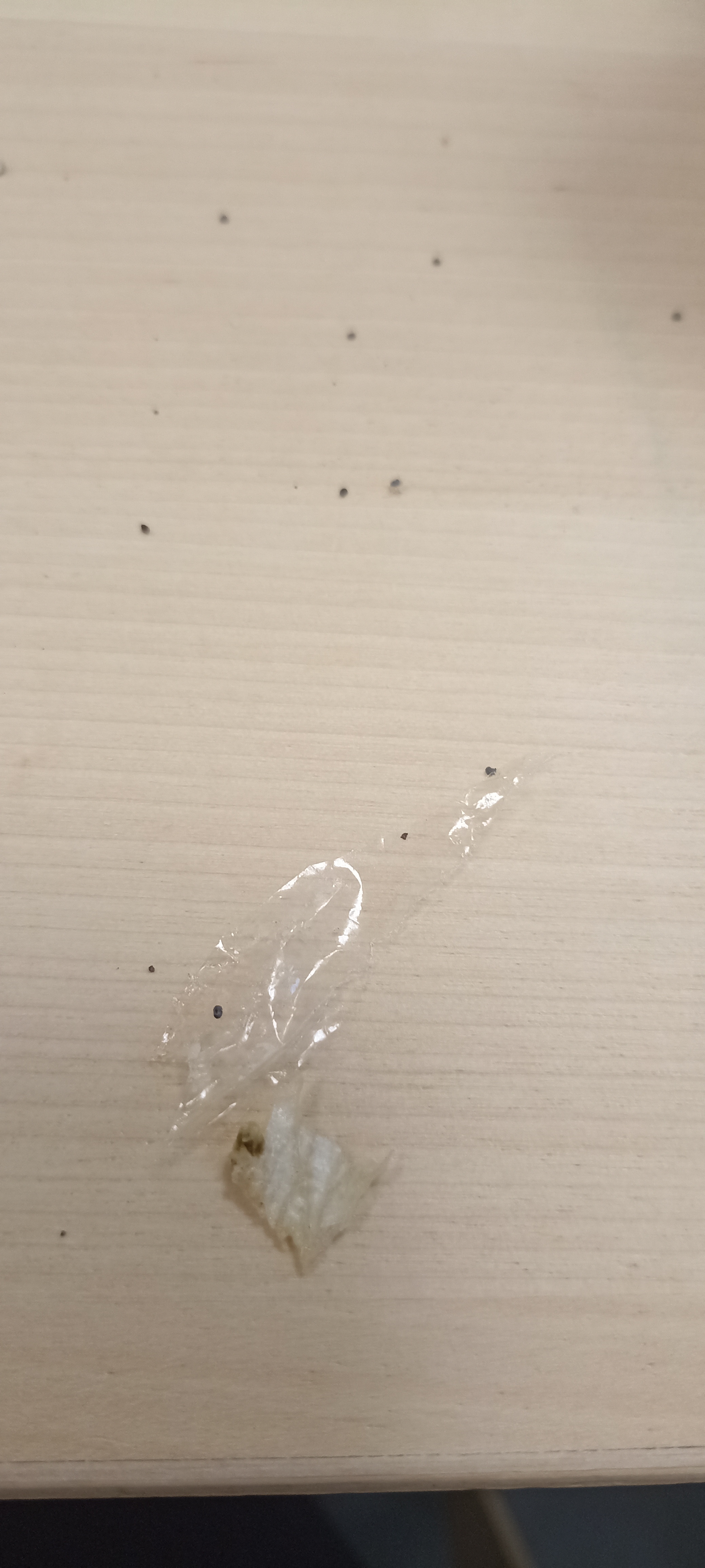 Photo n° 1 de l'avis de Angélique.i fait le 30/01/2023 à 13:17
