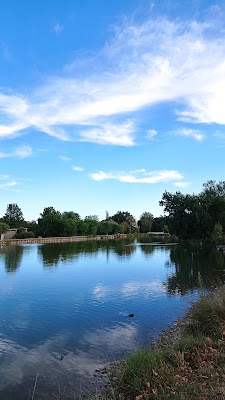 Lac Bellevue à Lisle-sur-Tarn