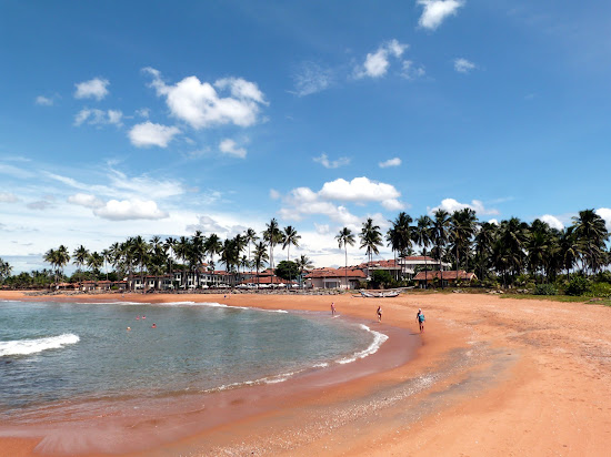 Dolphin hotel beach