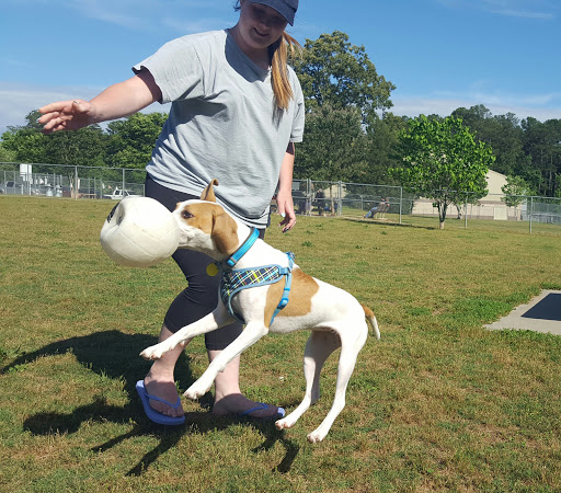 Park «Lenora Park», reviews and photos, 4515 Lenora Church Rd, Snellville, GA 30039, USA