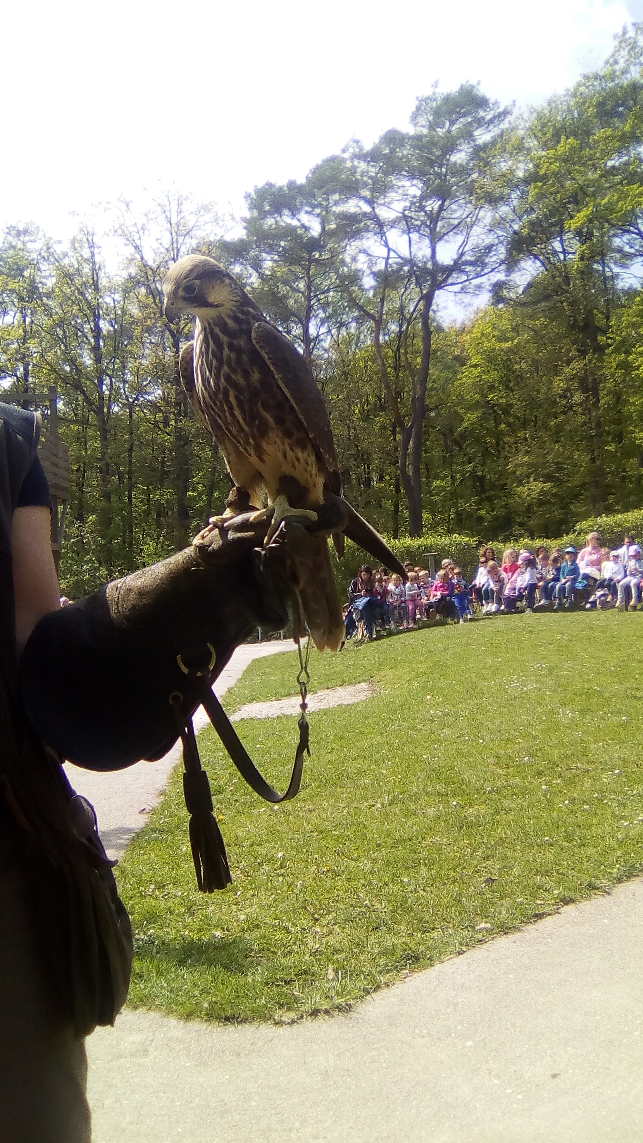Photo n° 2 de l'avis de Marjorie.e fait le 30/04/2019 à 15:13