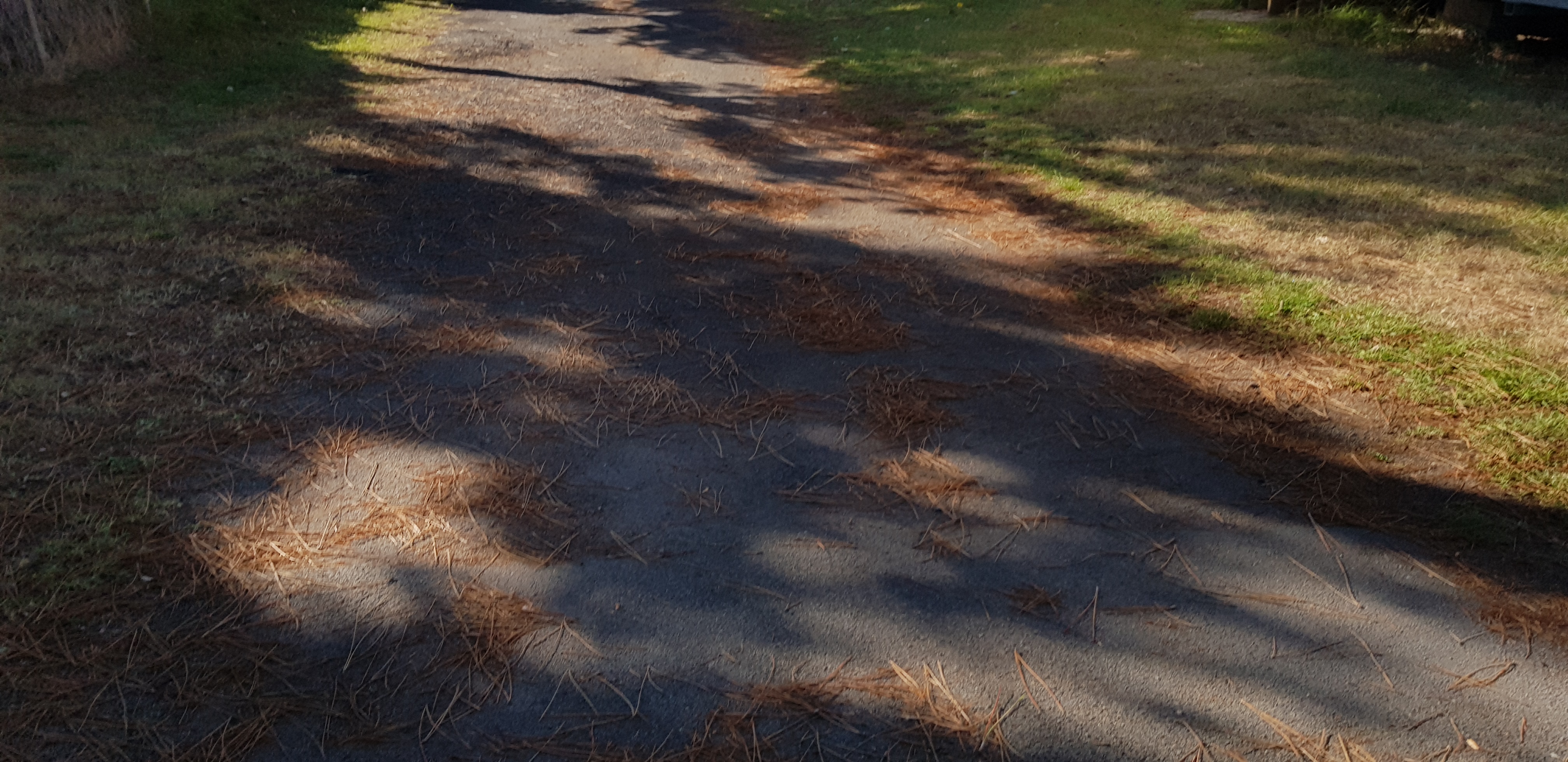 Photo n° 11 de l'avis de DIDIER.O fait le 01/09/2018 à 11:31