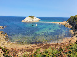 Playa de Covachos'in fotoğrafı vahşi alan