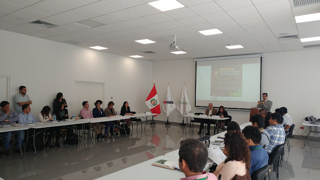 Opiniones de Servicio Nacional Forestal - SERFOR en Magdalena del Mar - Oficina de empresa