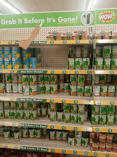 Dollar Store «Dollar Tree», reviews and photos, 9221 N 56th St, Temple Terrace, FL 33617, USA