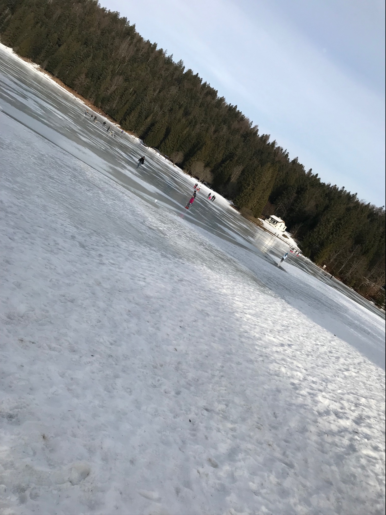 Photo n° 1 de l'avis de Hum01.1 fait le 13/02/2022 à 17:54