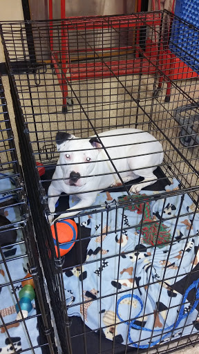 Pet Supply Store «PetSmart», reviews and photos, 261 Spreckels Ave, Manteca, CA 95336, USA