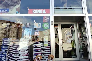 Tienda para mascotas GREEN PET Bilbao🐱🐶 image