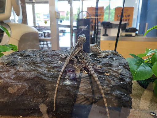 Pet Supply Store «Petco Animal Supplies», reviews and photos, 5938 Roswell Rd NE, Sandy Springs, GA 30328, USA