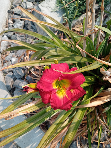 Market «Pybus Public Market», reviews and photos, 3 N Worthen St, Wenatchee, WA 98801, USA