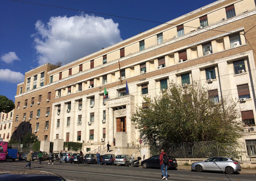 Italian National Institute of Health