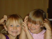 LiceDoctors Lice Treatment and Lice Removal Yuba City, Marysville, Lincoln - Photo 2 - Car repair in , Yuba City