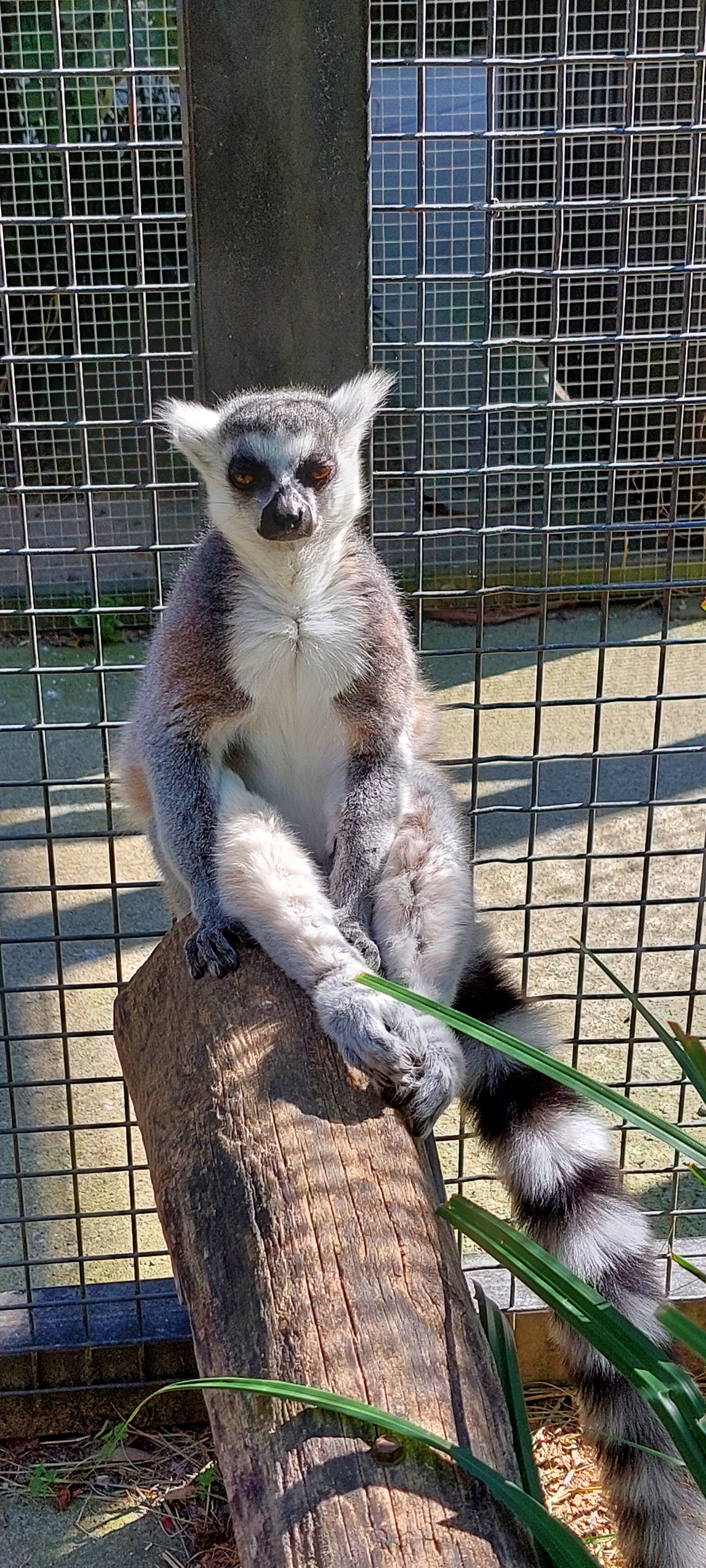 Photo n° 13 de l'avis de nathalie.E fait le 08/10/2023 à 08:49