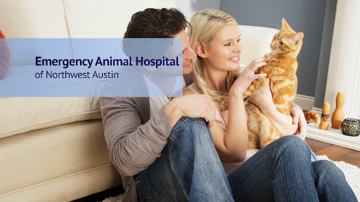 Central Texas Veterinary Specialty & Emergency Hospital