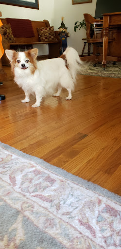 Supermarket «Hy-Vee», reviews and photos, 11650 S 73rd St, Papillion, NE 68046, USA