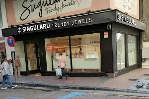 SINGULARU Trendy Jewels image