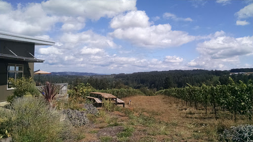 Winery «Raptor Ridge Winery», reviews and photos, 18700 SW Hillsboro Hwy, Newberg, OR 97132, USA