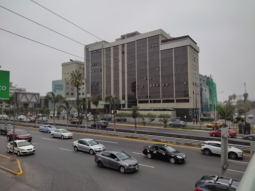 Psychiatry centers Lima