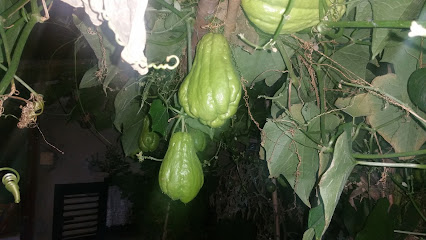 Expo-Angeja Comércio A Retalho De Materiais De Construção, Lda.