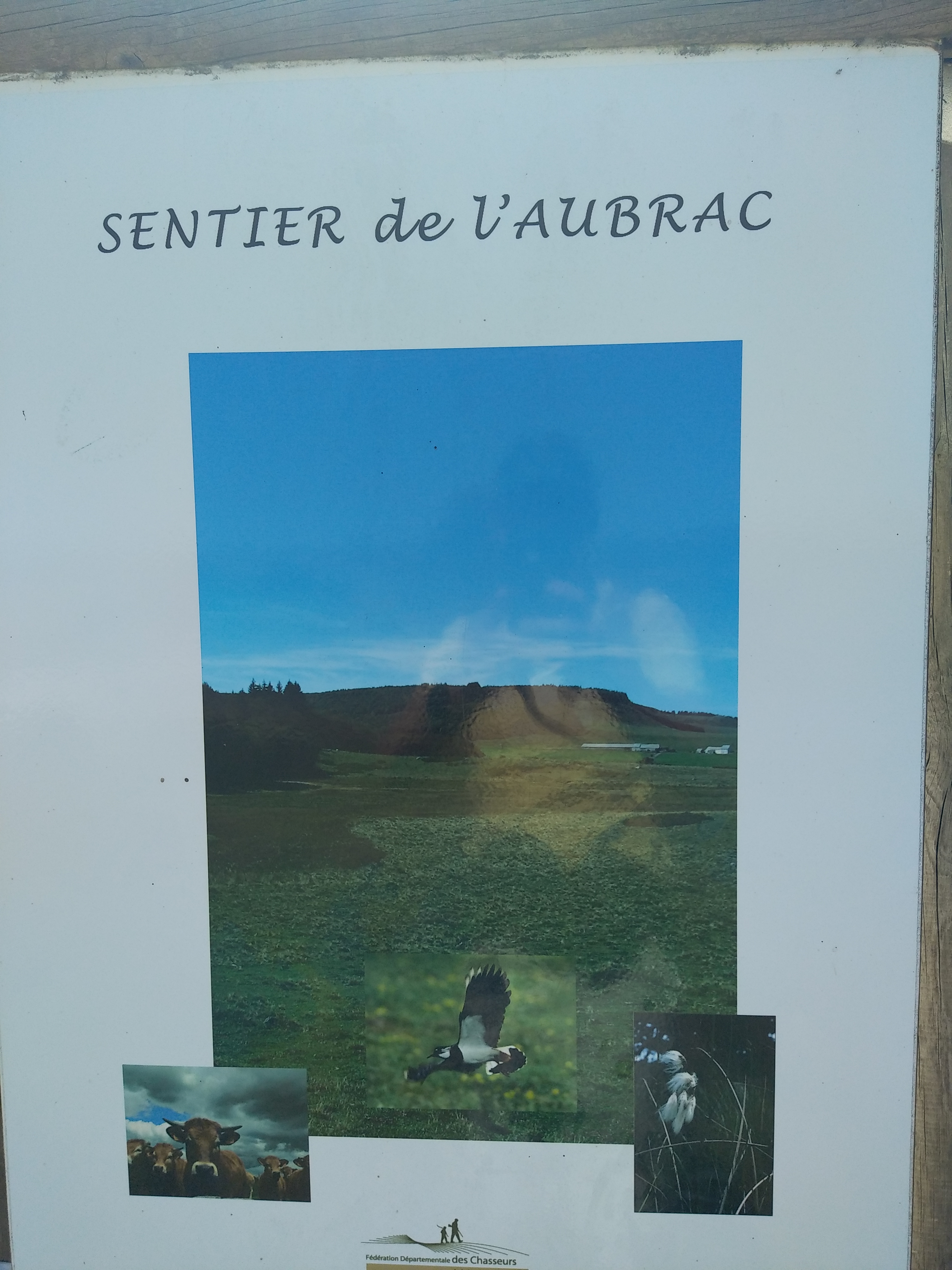 Photo n° 39 de l'avis de Julien.a fait le 14/07/2022 à 19:44