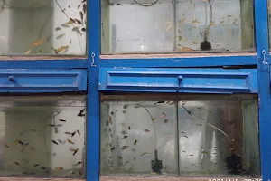 Divya Aquarium image
