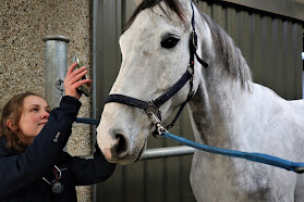 Katleen Merckx | Paardenarts - Vétérinaire Equin