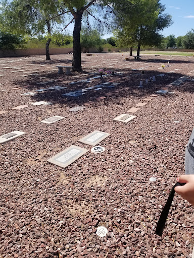 The Pet Cemetery of Tucson