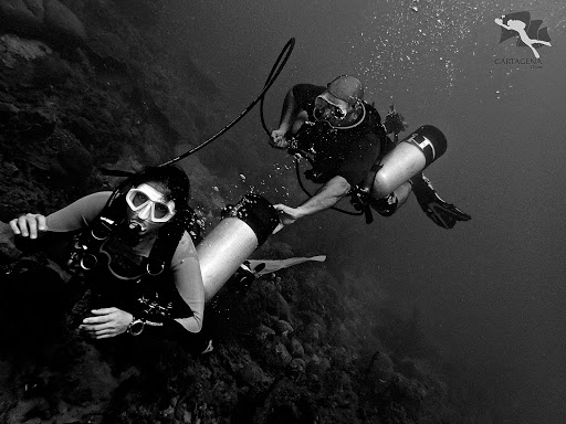 Cartagena Divers Centro De Buceo PADI 5 Estrellas