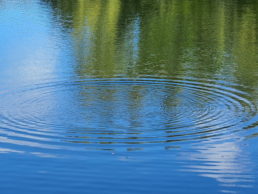 Park «Greynolds Park», reviews and photos, 17530 W Dixie Hwy, North Miami Beach, FL 33160, USA