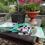 Photo n°2 de l'avis de Franco.a fait le 08/07/2017 à 19:27 sur le  Trattoria da Pasquale à Parasacco