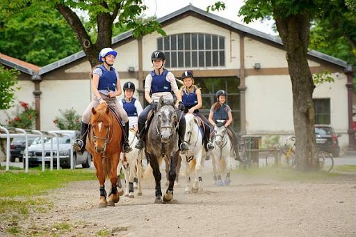 Centre Equestre Bayard Vincennes